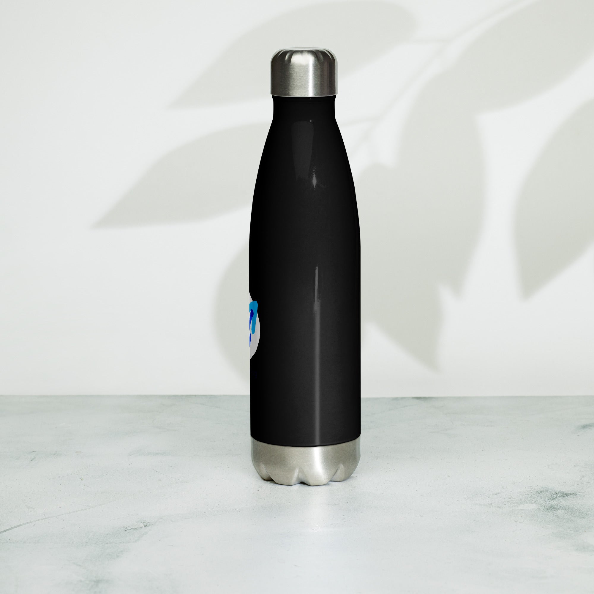 Stainless steel water bottle
