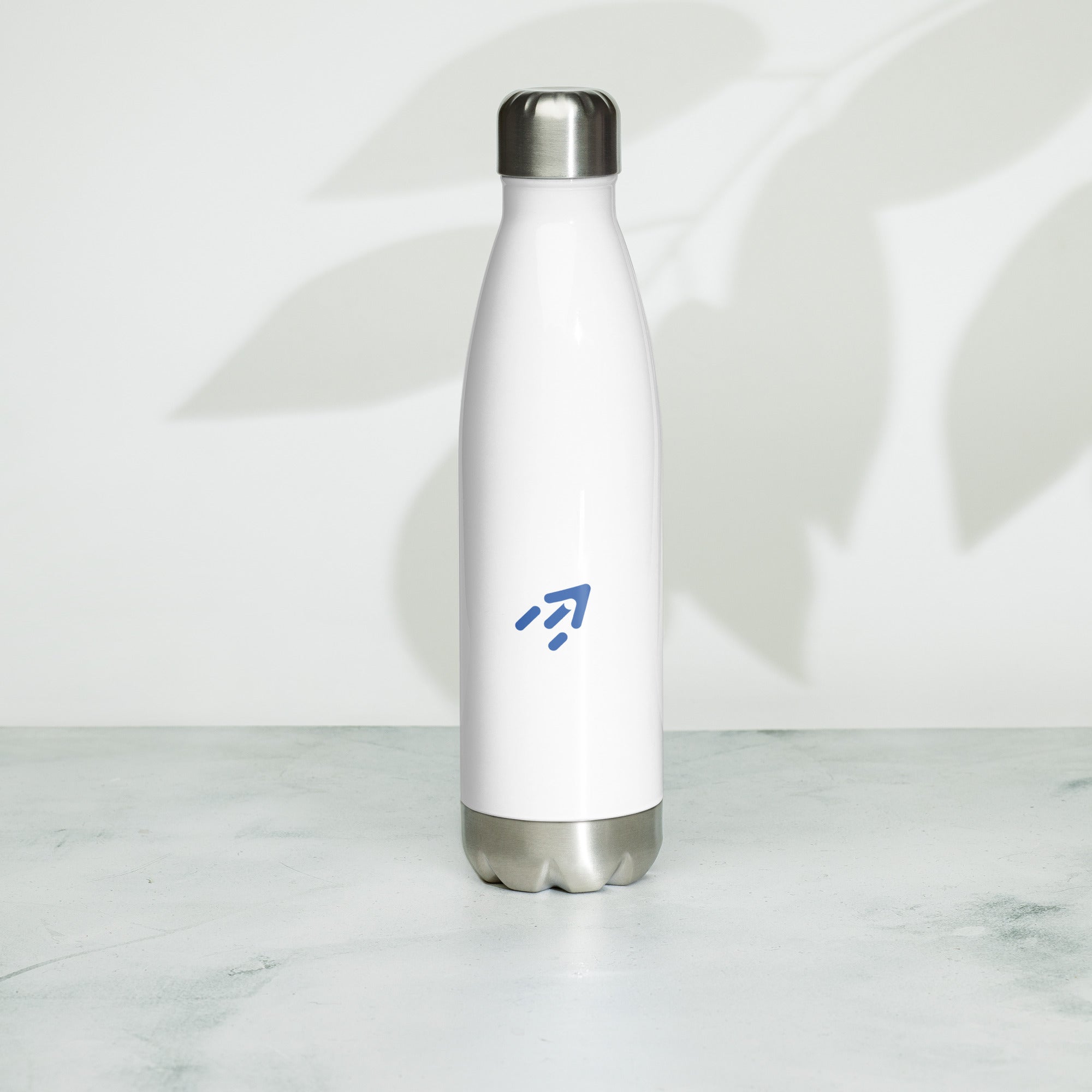 Stainless steel water bottle