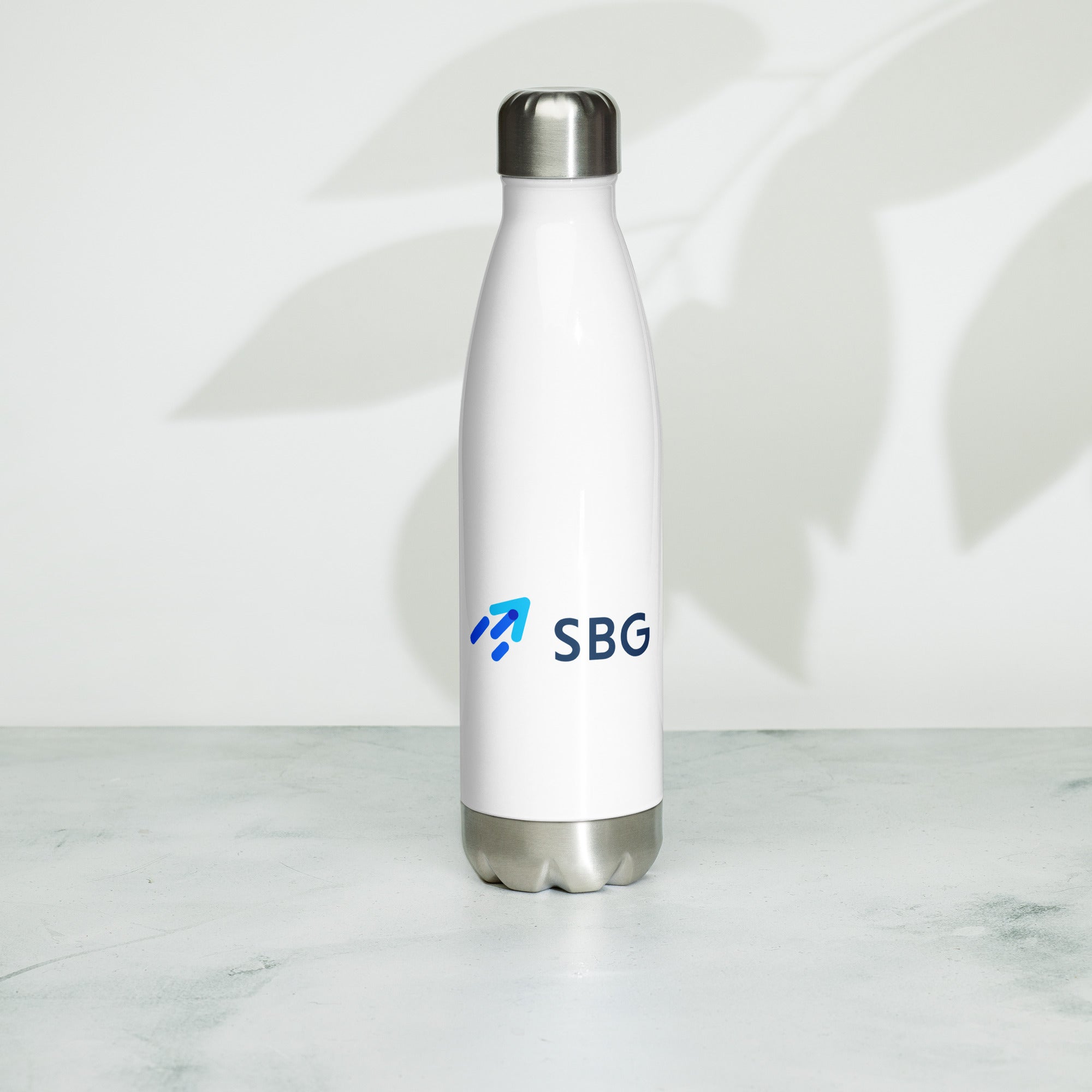 Stainless steel water bottle
