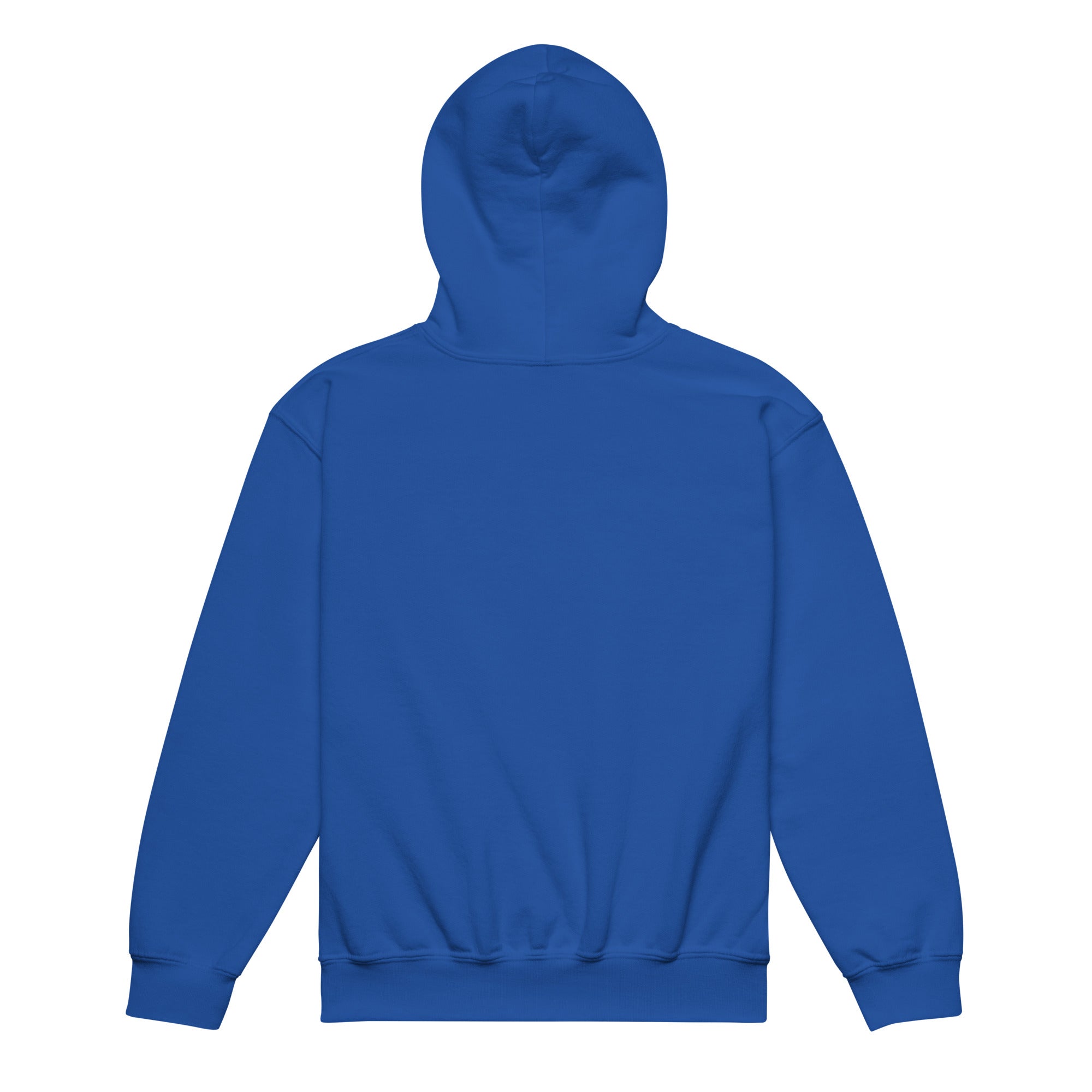 Youth heavy blend hoodie